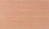 Shanghai Suntung Industry Co., Ltd.